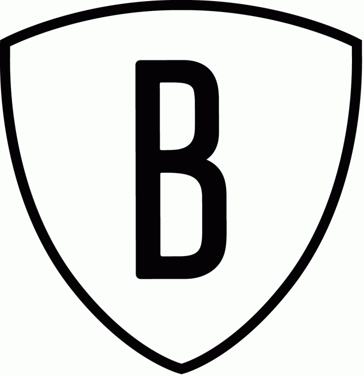 Brooklyn Nets 2012-2014 Alternate Logo iron on transfers for fabric version 3